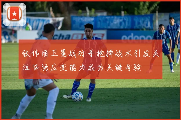 张伟丽卫冕战对手抱摔战术引发关注临场应变能力成为关键考验