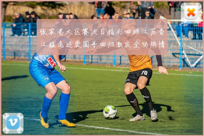 张家港大区赛次日精彩回顾江苏香江猛虎逆袭国手回归激发全场热情