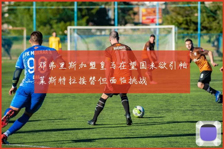 邓弗里斯加盟皇马在望国米欲引帕莱斯特拉接替但面临挑战
